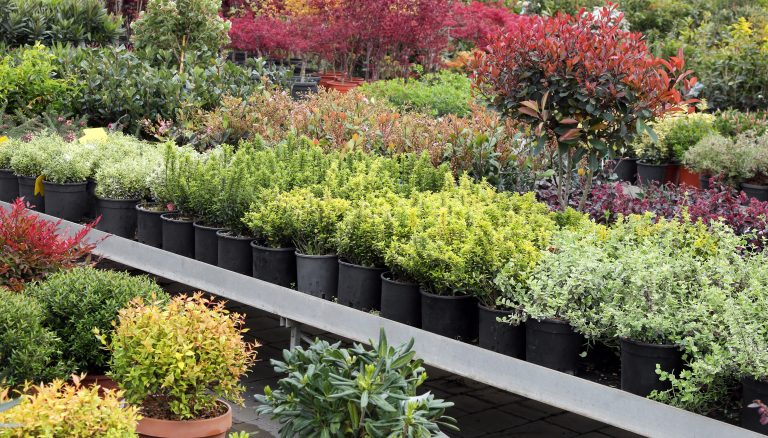 Clelands Plant Barn - Nursery - Palmerston North